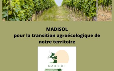 MADISOL, Projet participatif pour la restauration des sols viticoles